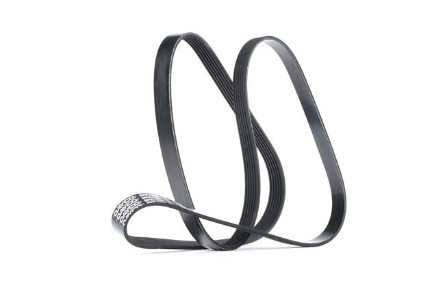 DAYCO 6PK1606: Correia trapezoidal estriada 1606,0mm, Número de nervuras: 6