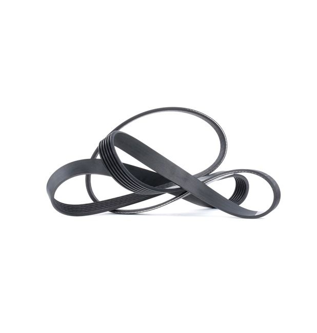 DAYCO 6PK1725: Curea transmisie cu caneluri 1725,0mm, Numar nervuri: 6