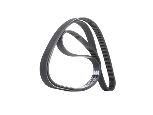 DAYCO 6PK1740: V formos rumbuoti diržai 1740,0mm, briaunų skaičius: 6