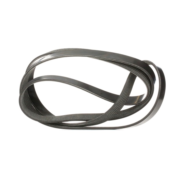 DAYCO 6PK1815S Multiriem ALFA ROMEO 147 (937) 115 Pk Diesel kosten