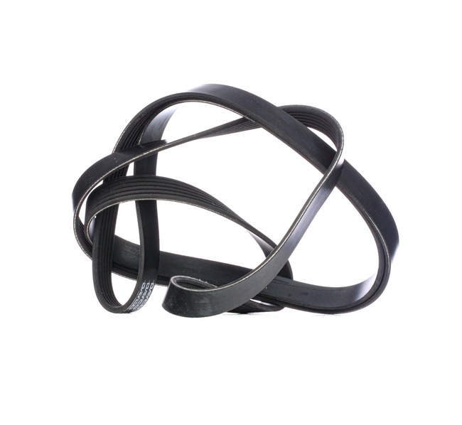 DAYCO 6PK2225: Curea transmisie cu caneluri 2225,0mm, Numar nervuri: 6
