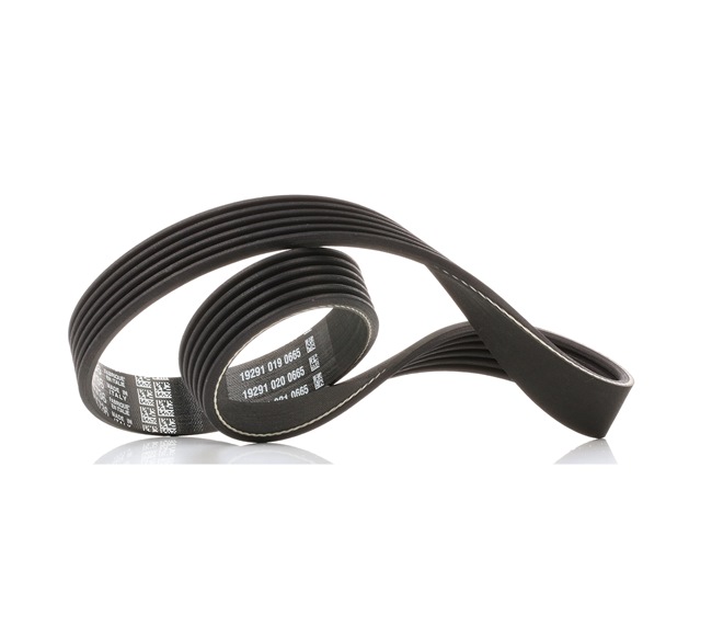 DAYCO 6PK736 Multiriem SKODA Octavia 3 Combi (5E5) 150 Pk Benzine kosten