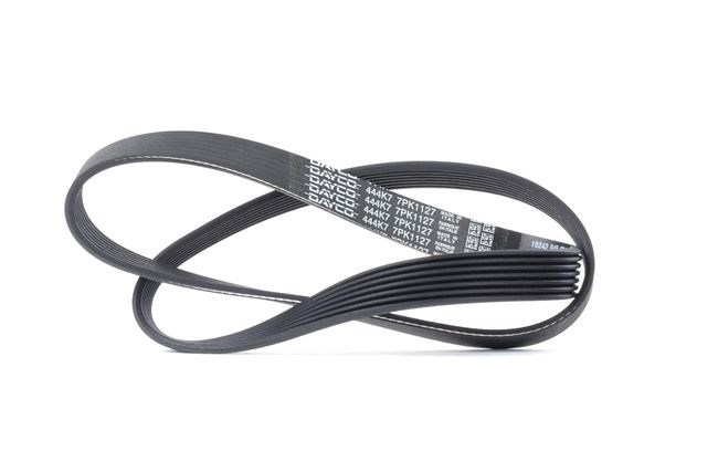 DAYCO 7PK1127: Ķīļrievu siksna 1127,0mm, Rievu skaits: 7