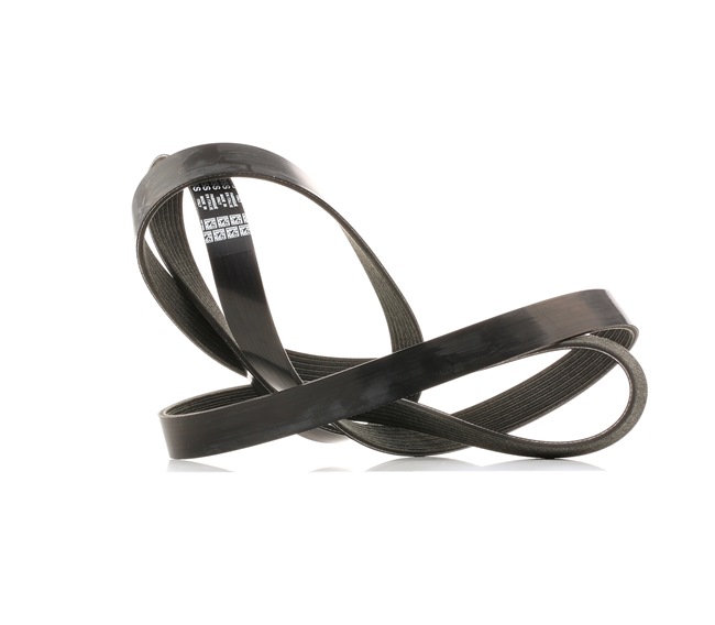 DAYCO 7PK2035S: Courroie Poly-V 2035,0mm, Nombre de gorges: 7
