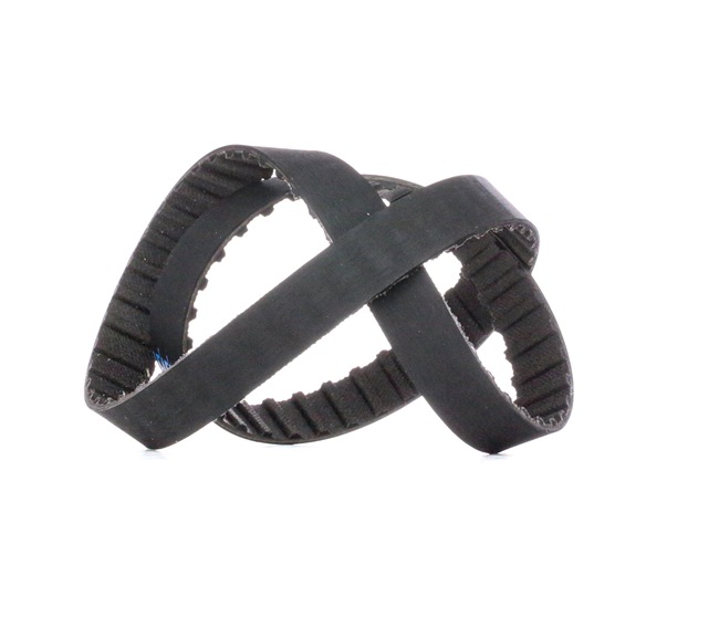 DAYCO 94075: Cinghia dentata N° denti: 88