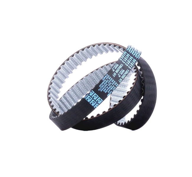 DAYCO 941013: Cinghia dentata N° denti: 130