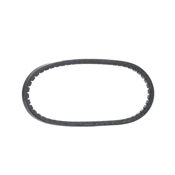 DAYCO 10A0595C: Curea transmisie 595mm