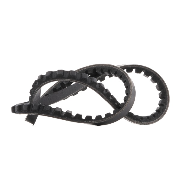 DAYCO 10A0785C: Kilrem 785mm