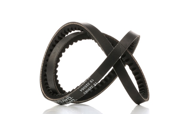 DAYCO 10A0800C: Curea transmisie 800mm