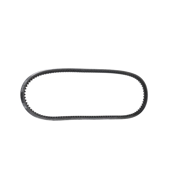 DAYCO 10A0875C: Cinghia trapezoidale 875mm