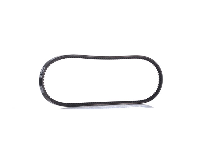 DAYCO 10A0975C: Cinghia trapezoidale 975mm