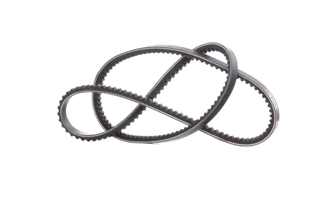 DAYCO 10A1175C Riemen, Ketten, Rollen VW TRANSPORTER 3 Bus 2.0 70 PS Benzin