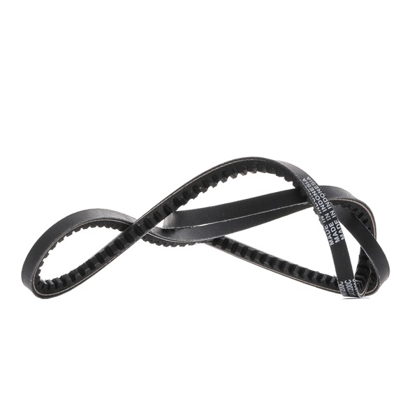 DAYCO 10A1200C: Cinghia trapezoidale 1200mm