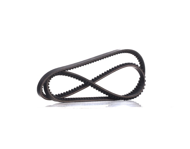 DAYCO 10A1350C: Curea transmisie 1350mm