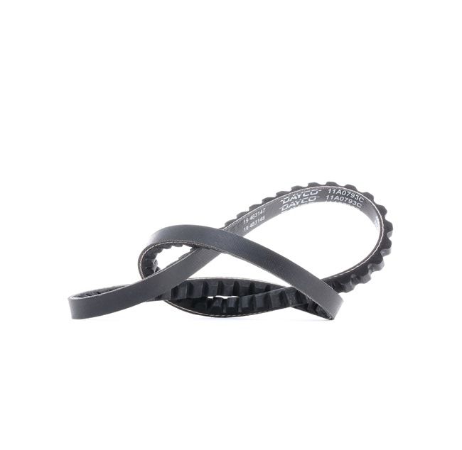 DAYCO 11A0793C: Kilrem 793mm