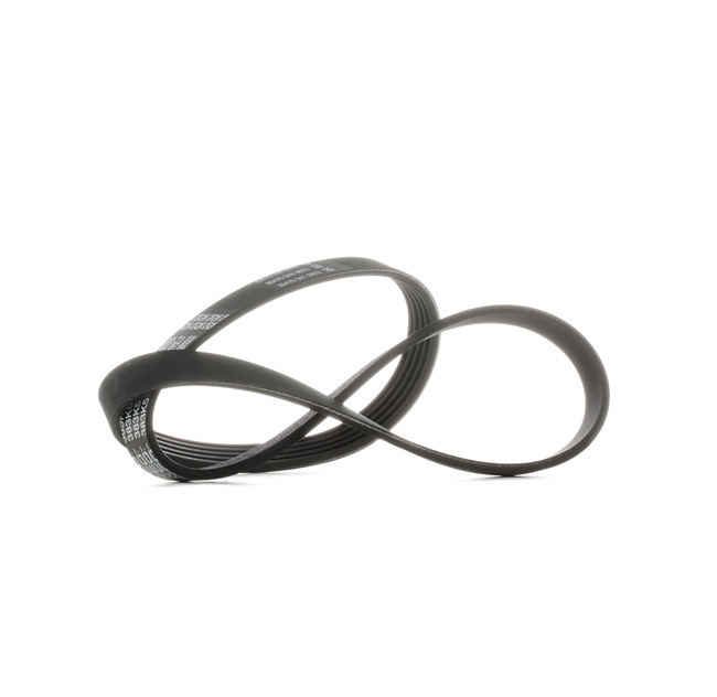 DAYCO 5PK975: Curea transmisie cu caneluri 975,0mm, Numar nervuri: 5