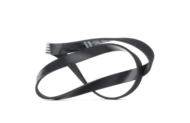 DAYCO 6PK1000 Keilrippenriemen CITROЁN C5 II Break (RE_) 140 PS Benzin Kosten