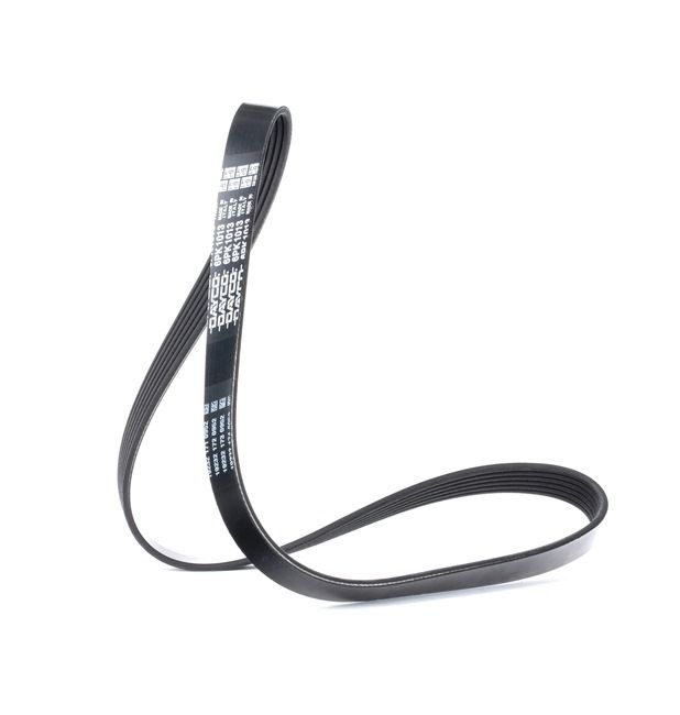 DAYCO 6PK1013: V formos rumbuoti diržai 1013,0mm, briaunų skaičius: 6