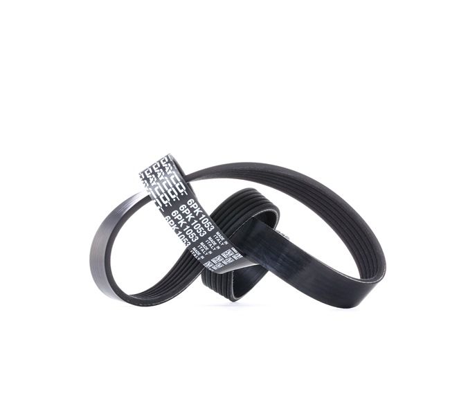 DAYCO 6PK1053: Curea transmisie cu caneluri 1053,0mm, Numar nervuri: 6
