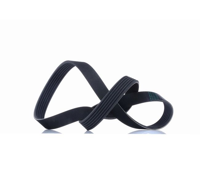 DAYCO 6PK1065: Curea transmisie cu caneluri 1065,0mm, Numar nervuri: 6