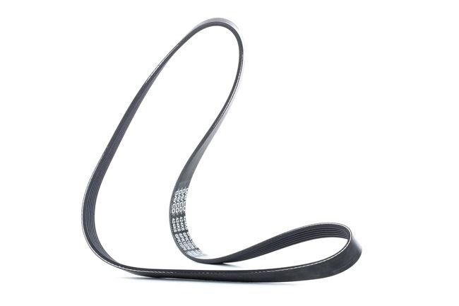 DAYCO 6PK1076: Curea transmisie cu caneluri 1076,0mm, Numar nervuri: 6