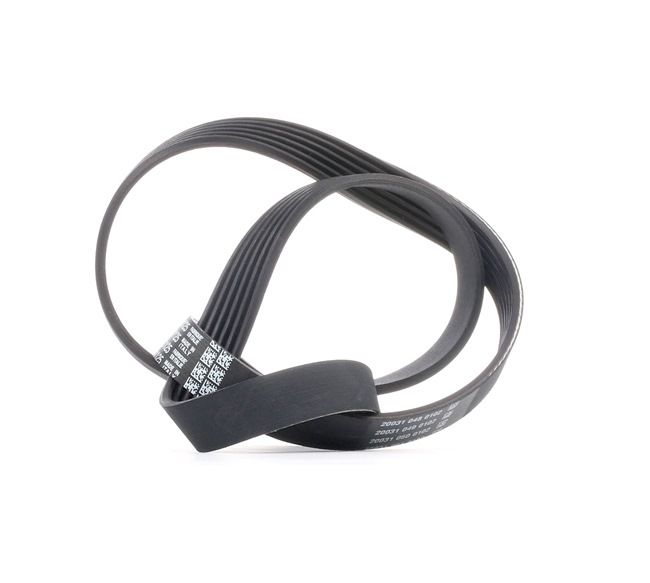 DAYCO 6PK1125 Multiriem SKODA OCTAVIA (1U2) 101 Pk Benzine kosten