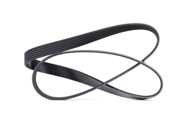 DAYCO 6PK1155 Multiriem BMW X5 (G05) 265 Pk Diesel kosten