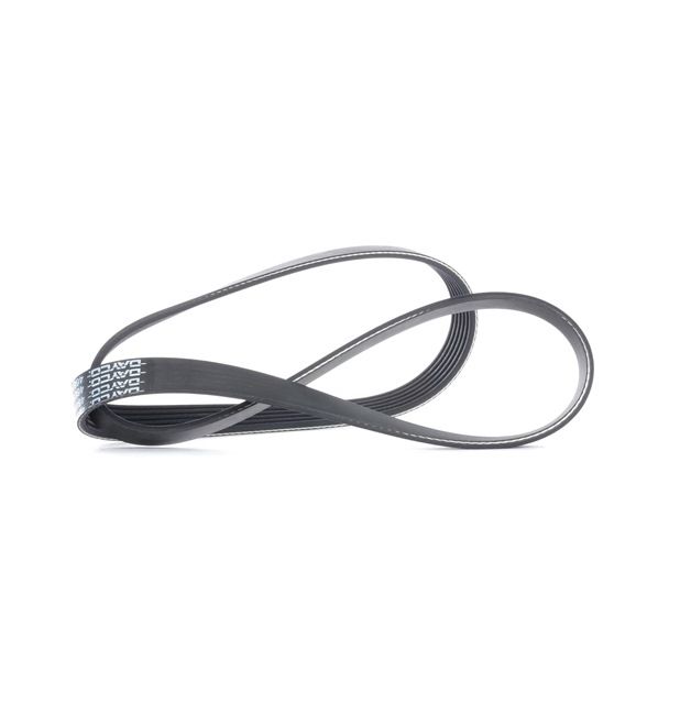 DAYCO 6PK1185: Ozubený klínový řemen 1185,0mm, Počet žeber: 6