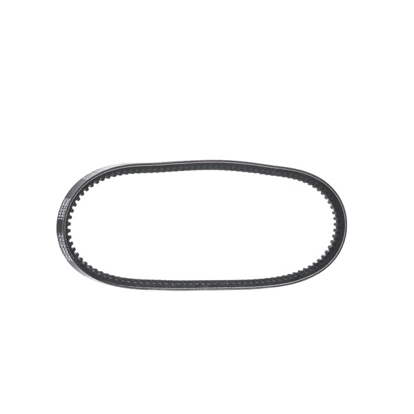 DAYCO 13A0790C: Cinghia trapezoidale 790mm