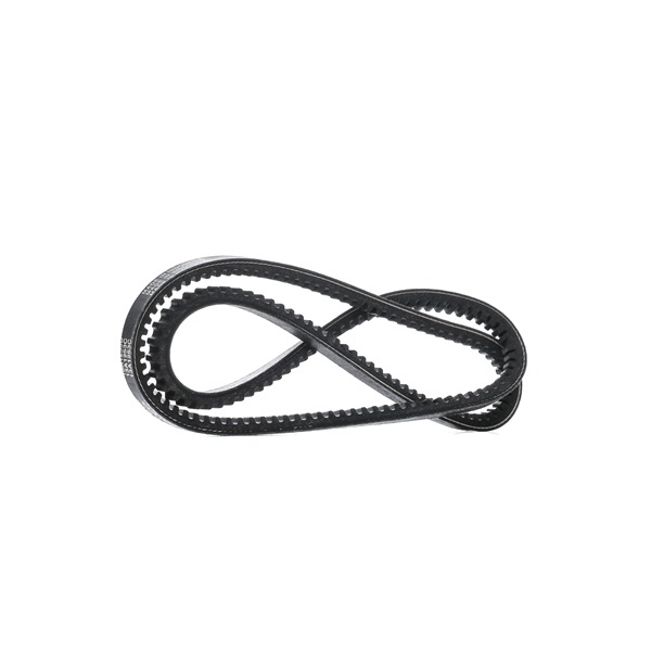 DAYCO 13A1253C: V formos diržas 1253mm