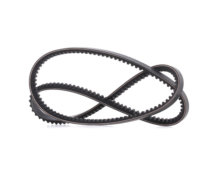 DAYCO 13A1325C: Curea transmisie 1325mm