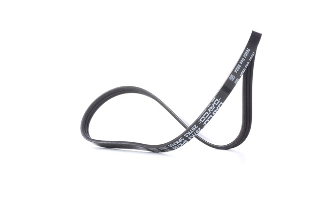DAYCO 3PK755: Curea transmisie cu caneluri 755,0mm, Numar nervuri: 3