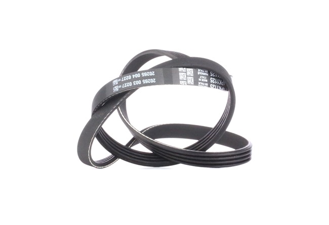 DAYCO 4PK1125 Keilrippenriemen MITSUBISHI L 200 (K7_T, K6_T) 2.5 TD 4WD (K74T) 115 PS Diesel