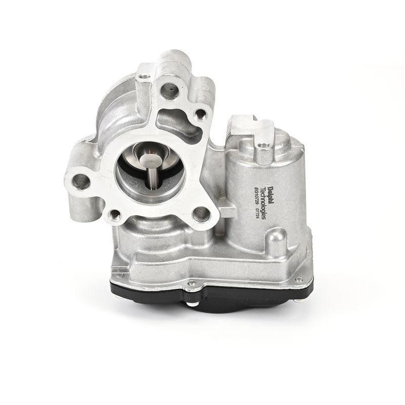 DELPHI EG10729-12B1: EGR klep Zonder AGR koeler