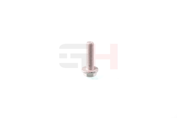 GH GH-391969: Tornillo
