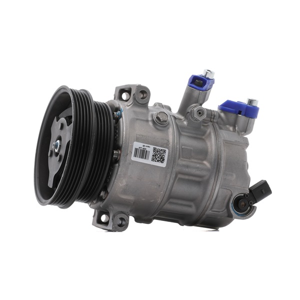 RIDEX REMAN 447K0050R Kompresor, klimatizace VW Jetta 3 (1K2) 170 HP Benzín cena