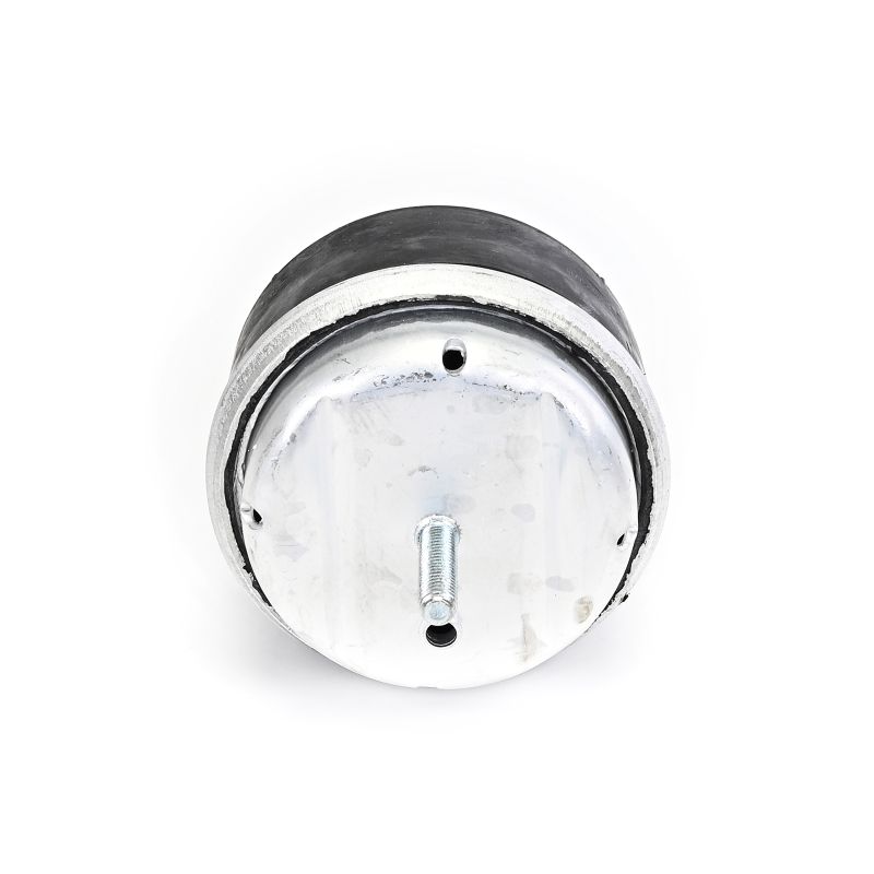 DELPHI TEM239: Supporto motore Sx