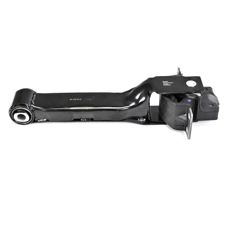 DELPHI TEM243 Motorlager hinten