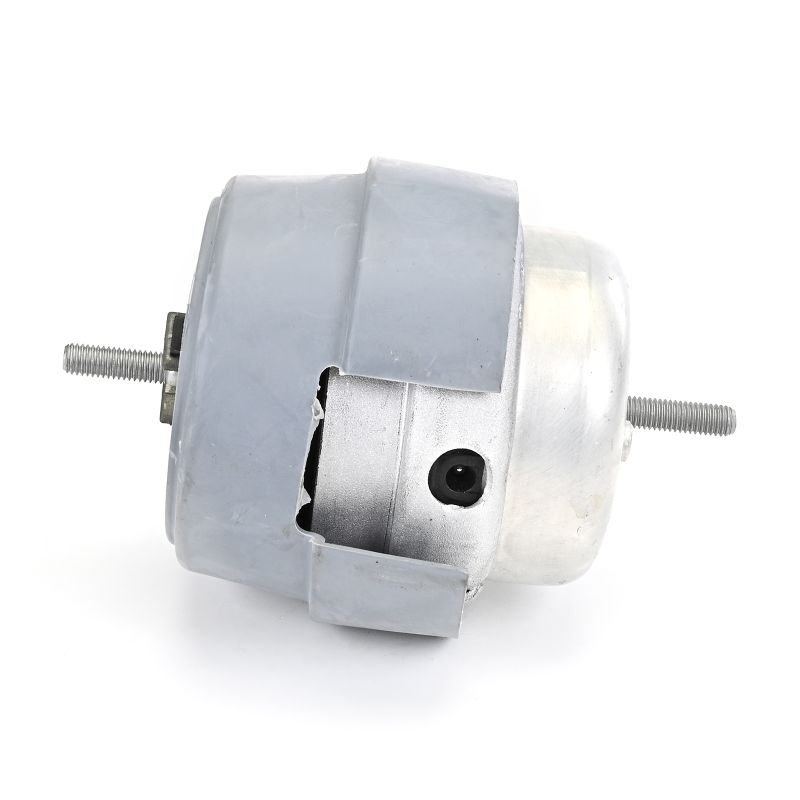 DELPHI TEM288: Motorsteunlager Voor