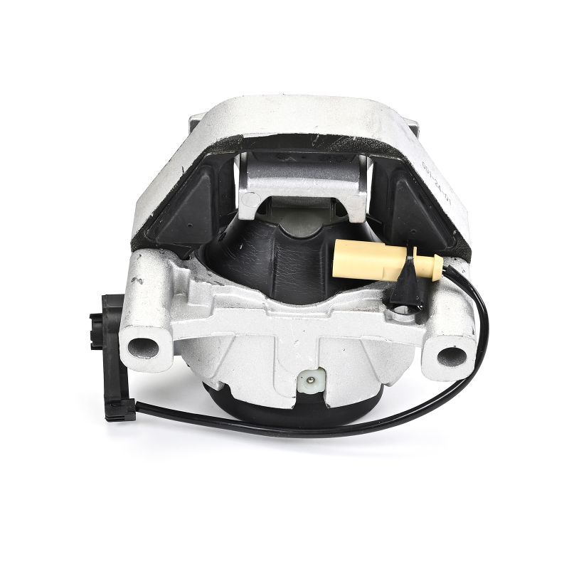DELPHI TEM289: Supporto motore anteriore