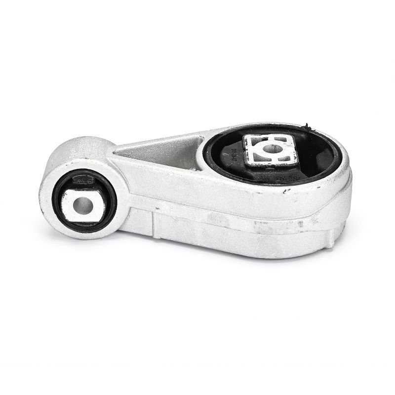 DELPHI TEM297 Motorlager hinten