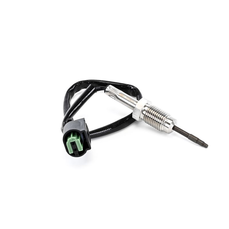 DELPHI TS30042-12B1: Abgastemperatursensor