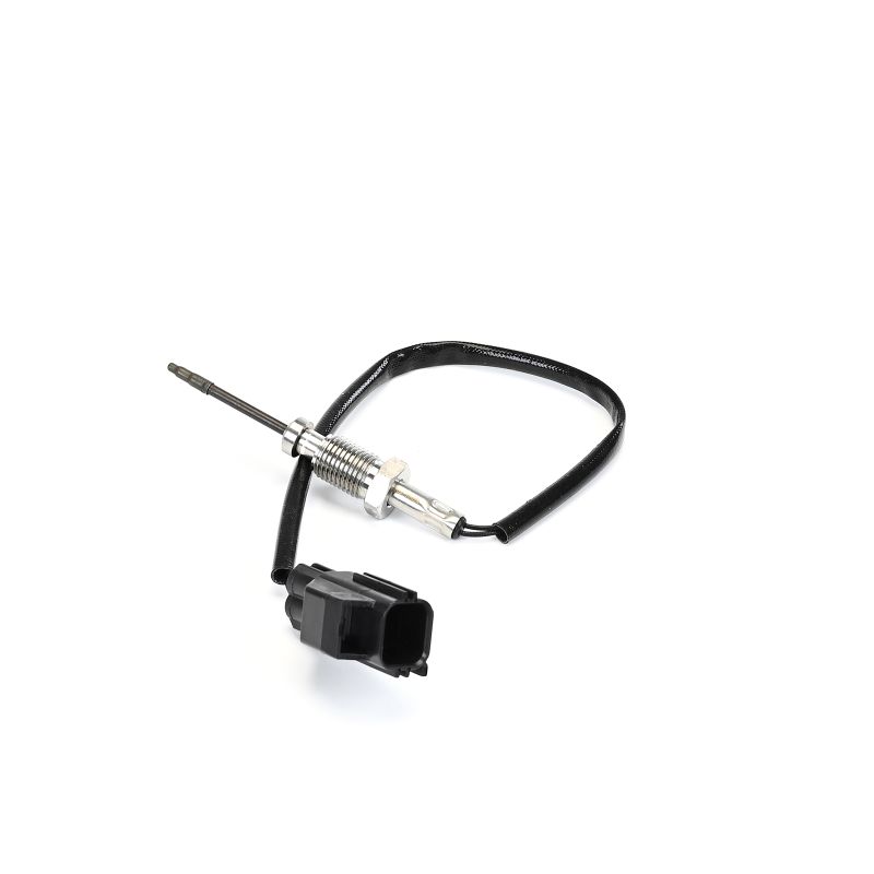 DELPHI TS30392-12B1 Sensor, eksostemperatur FORD Tourneo Custom V362 Minibuss (F3) 170 hk Diesel hva koster