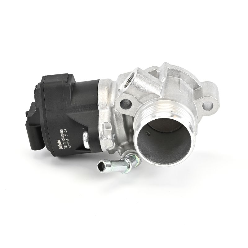 DELPHI EG10728-12B1: EGR klep