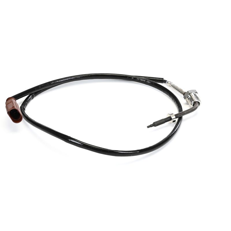 DELPHI TS30409-12B1: Sensor, eksostemperatur
