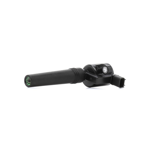 goCORE GCF890052: Bobine 2-polig