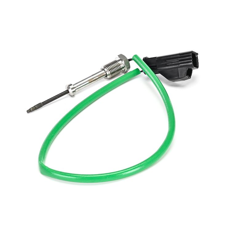 DELPHI TS30397-12B1: Sensor, eksostemperatur