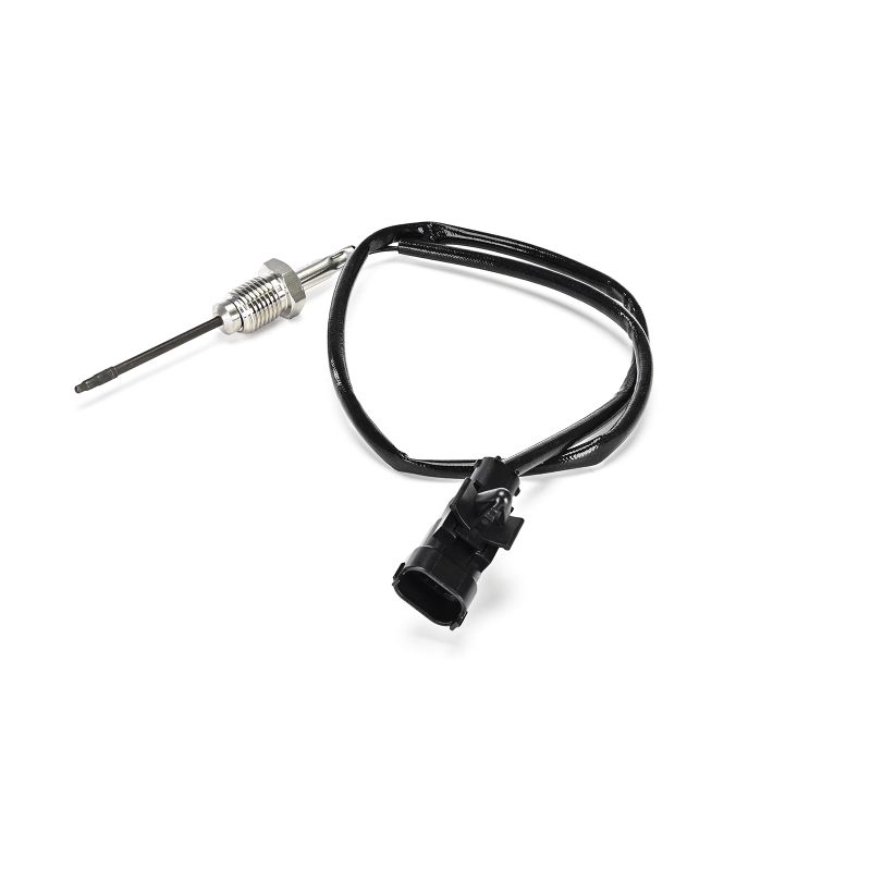 DELPHI TS30419-12B1: Αισθητήρας, θερμοκρασία καυσαερίων