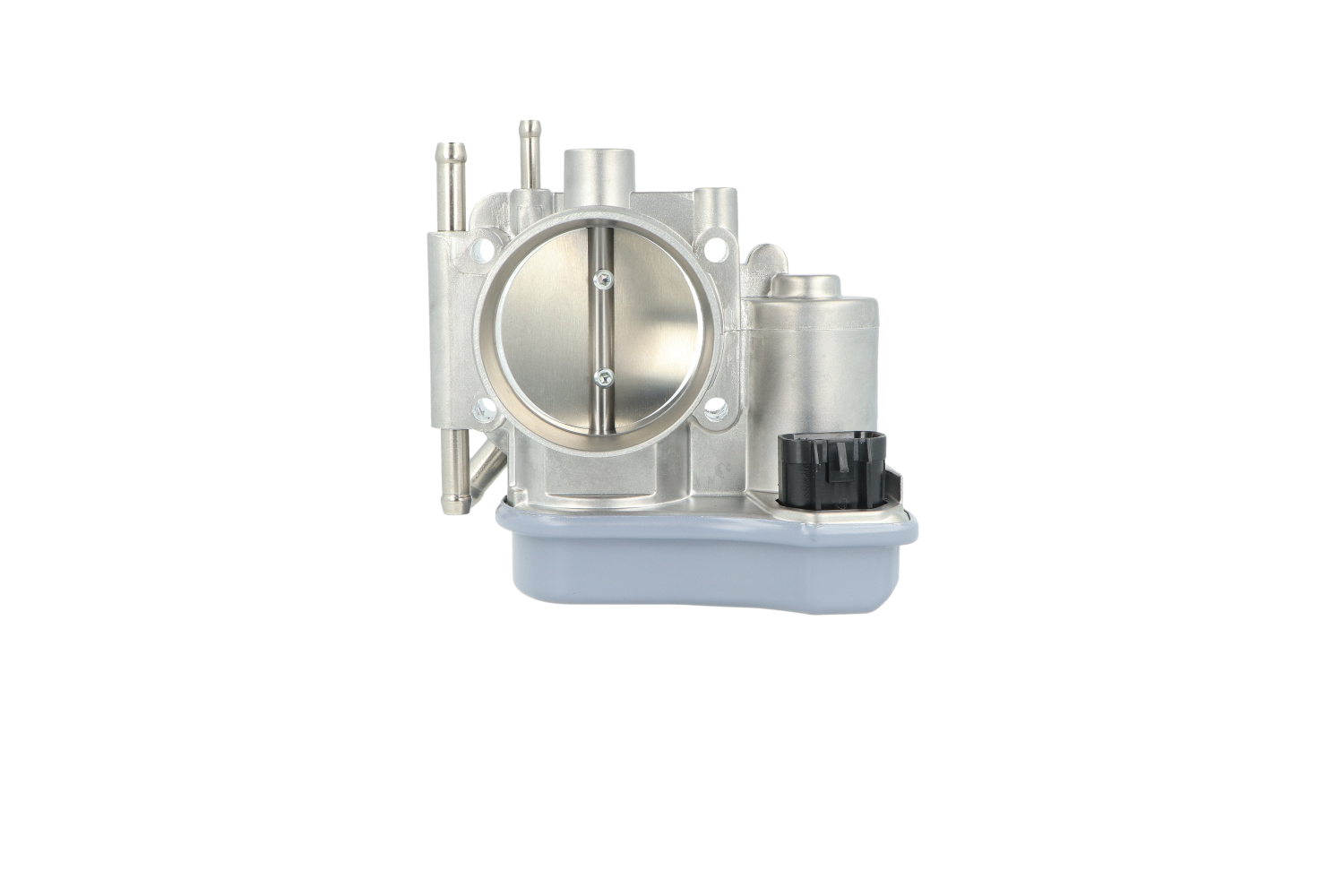 NRF 408039: Corpo de borboleta