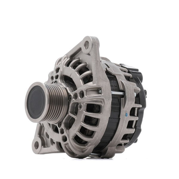 RIDEX REMAN 4G2060R Dynamo / Alternator FIAT Ducato Flatbed Vrachtwagen / Chassis (250_, 290_) 111 Pk Diesel kosten